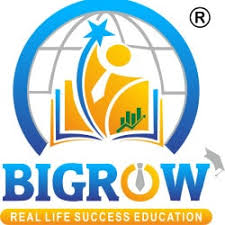 bigrow good interior designers in pune